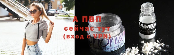 прущие крисы Магадан