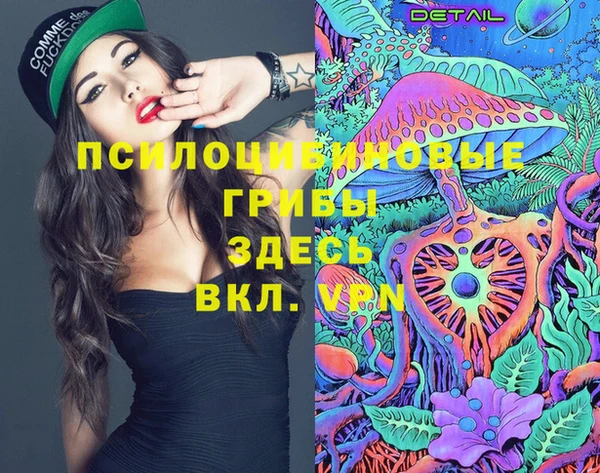 тгк Лиски