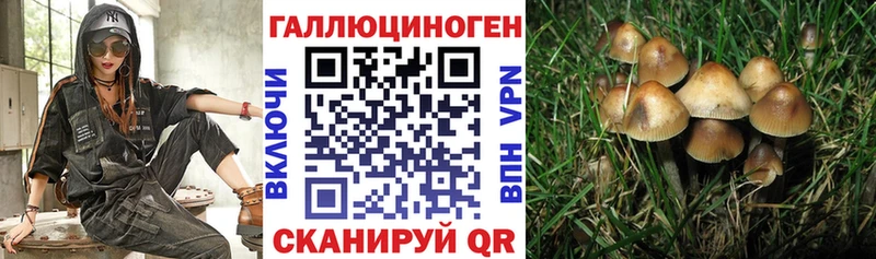 даркнет официальный сайт  магазин продажи   Палласовка  Галлюциногенные грибы ЛСД 